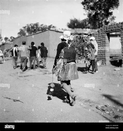 Atacama Plateau Desert Carnival Tradition Costume Latin America America ...