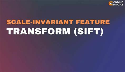 Image result for Scale-Invariant Feature Transform