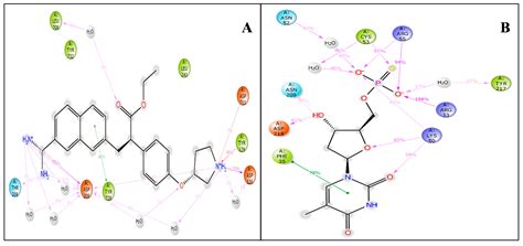 In-Silico Screening and Molecular Dynamics Simulation of Drug Bank ...
