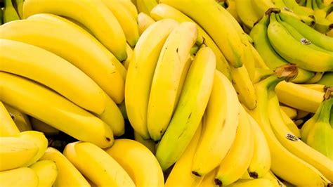 Banana Farming: बायोरिएक्टर तकनीक से बदल जाएगी केले की खेती, ICAR-NRCB ...