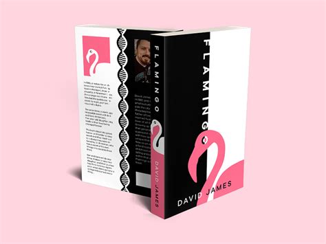 Image result for Flamingo 12 Book Design