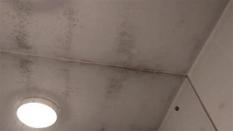 DIVCIBARE HOTEL - Hotel Reviews, Photos, Rate Comparison - Tripadvisor