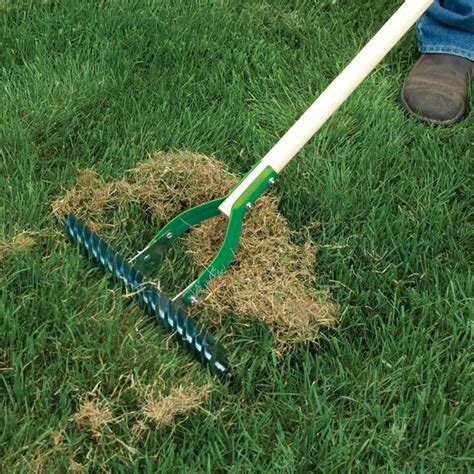 Rastrello per arieggiare il prato ? Boiserie in ceramica  