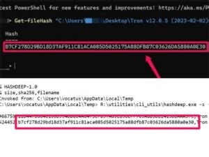 Image result for Tron Script Windows 1.0