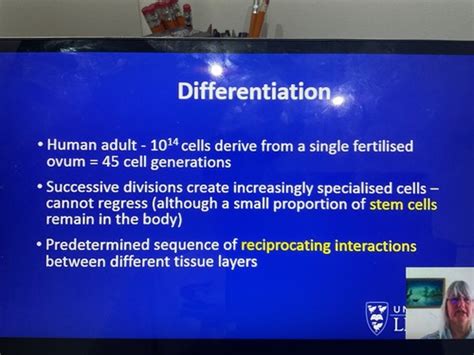 Image result for Embryo Face Formation