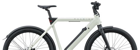 Meet the Raleigh ONE