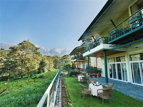 Palampur Tourism (2024): All You Need to Know Before You Go