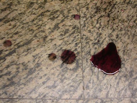 Real Blood On Floor