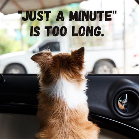 TAHOMA VETERINARY HOSPITAL - Spanaway WA - Hours, Directions, Reviews ...