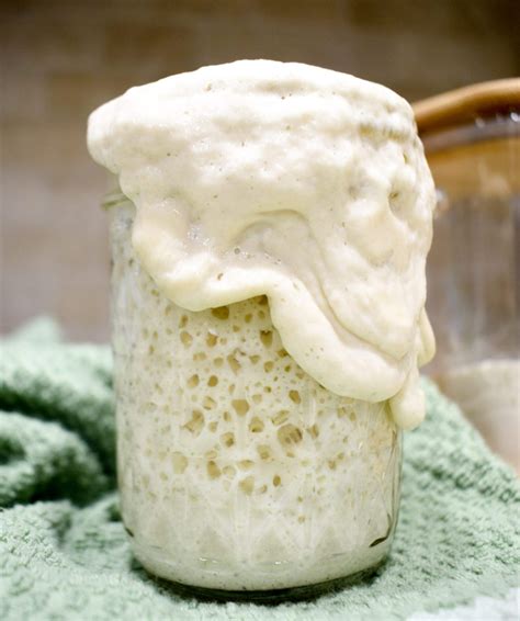 Sourdough Starter: A Beginner's Simple & Efficient 4-Step Guide