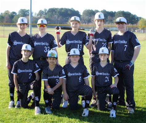 Image result for Lab Baseball