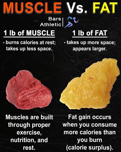 How Heavy Is Muscle Compared To Fat