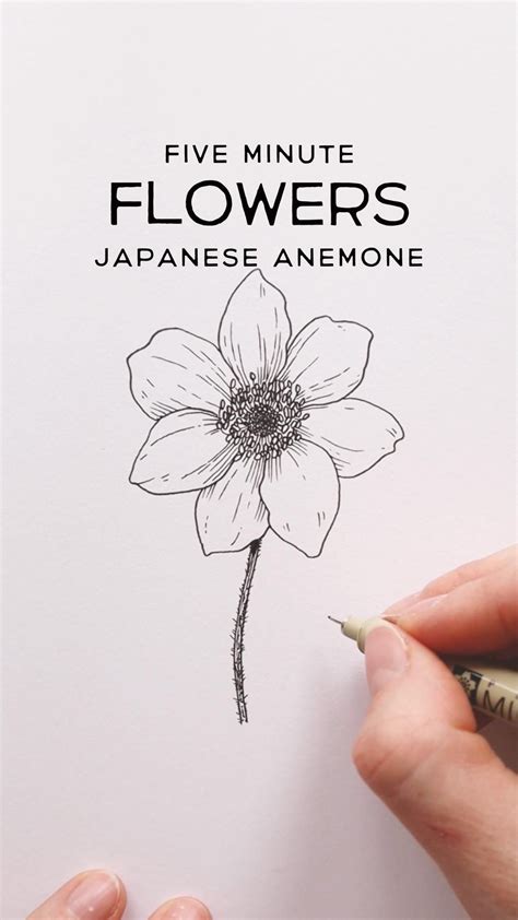 Image result for Drawing Tutorial for Flower
