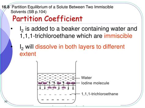 Image result for Dynamic Equilibrium State