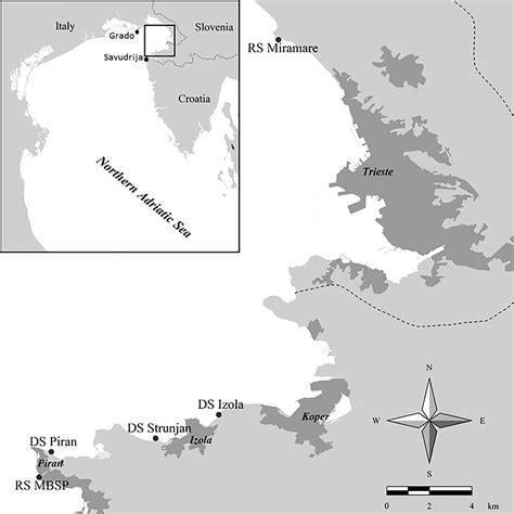 Frontiers | Where and how - new insight for brown algal forest restoration in the Adriatic