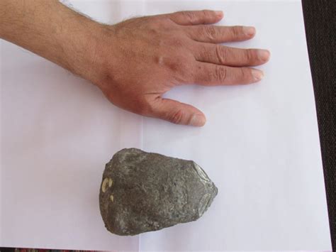 Image result for Alien Skull Found