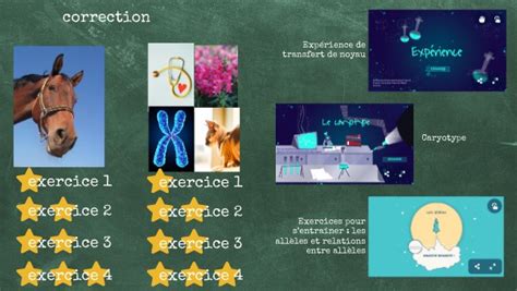 Image result for Code Genetique Exercice