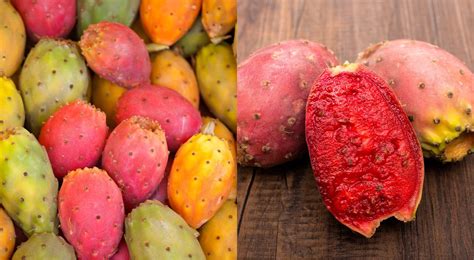 What Are Prickly Pears? Everything You Need to Know About This Vibrant ...