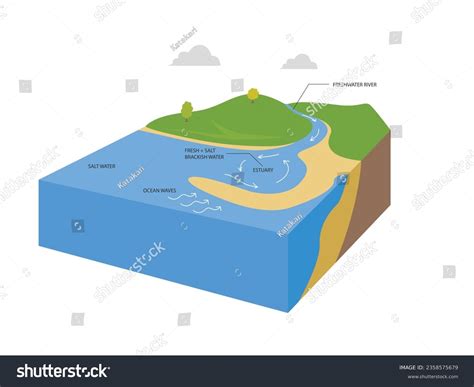 Brackish Water Diagram