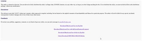 Image result for Blue Screen View