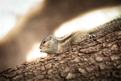 Xxxxx+Photo Photos, Download The BEST Free Xxxxx+Photo Stock Photos & HD Images