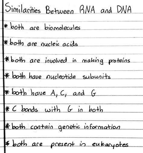 Similarities Between Dna And Rna Nucleotides at Erika Nelson blog