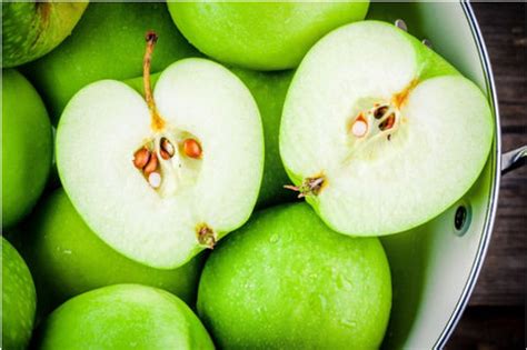 Plant Stem Cells: A Revolution In Anti-Aging Skincare – Slova Cosmetics