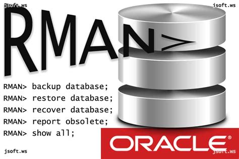 Image result for Rman Tutorial