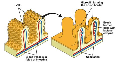 Image result for Visual Spatial Examples