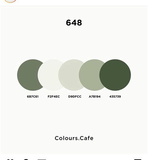 Image result for Web Color Chart