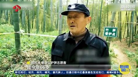 北京紫竹院再现“挖笋大军”，偷挖60根被罚50元，处罚太轻！ | 北晚新视觉