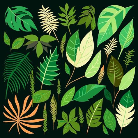 Image result for Leaf Visual Library