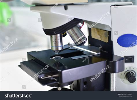 Image result for Compound Microscope Magnification Levels