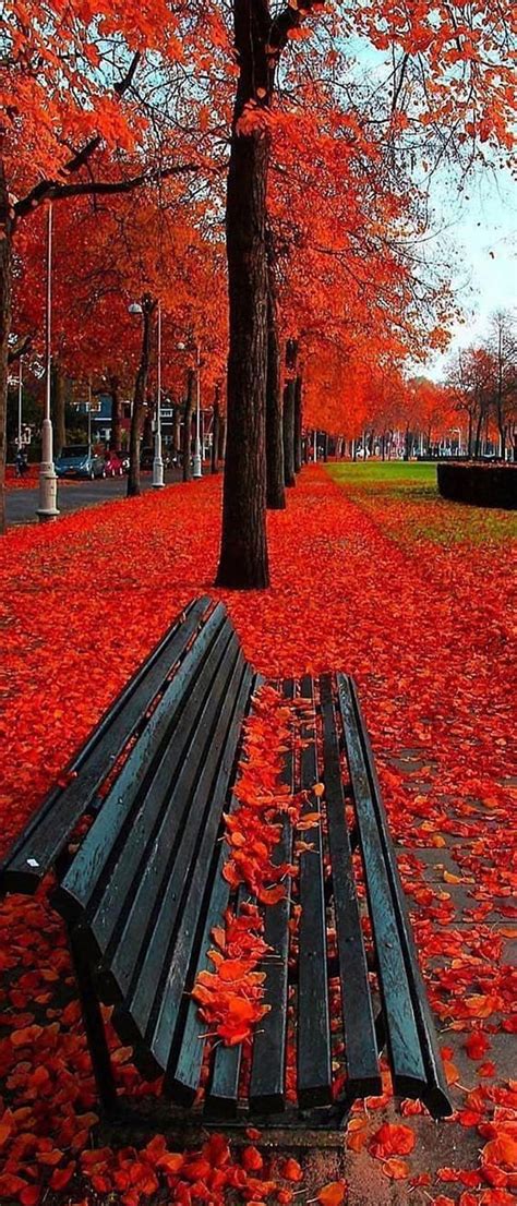 Image result for Beautiful Autumn Fall