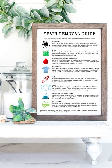 Image result for Stain Removal Reference Guide