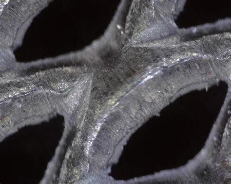 Image result for Magnification Examples