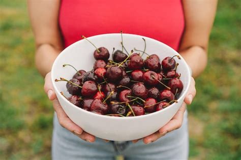 Page 8 | Best cherry tree eating Images - Free Download on Freepik