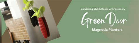 VarEesha GreenDoor Red & Blue Oval Ceramic Magnetic Planters Set of 2 ...