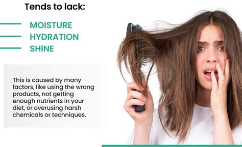 Buy Best Anti-Frizz Serum for Frizzy Hair | ThriveCo Frizz Tamer