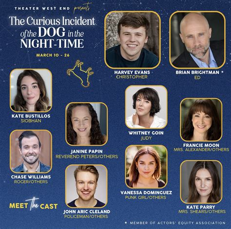 The Incident Of The Dog