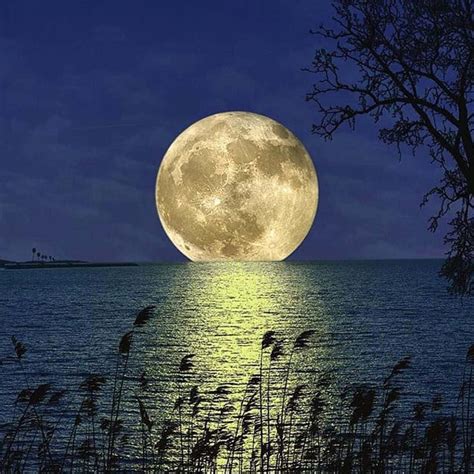 Image result for Beautiful Fall Moon