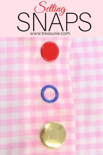 Snaps Tutorial 的图像结果