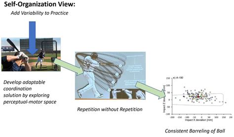 Image result for Practice Variability