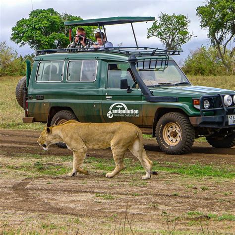 ANTIPOLLUTION SAFARIS (2025) All You Need to Know BEFORE You Go (with ...