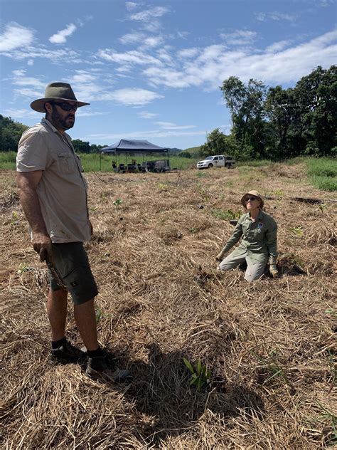 Tree-Planting Day 的图像结果