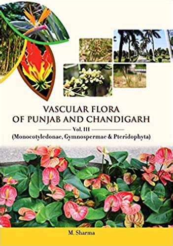 Vascular Flora of Punjab and Chandigarh (3 Volumes Set) Vol. l ...