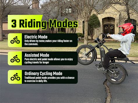 Electric Bike For Adults Peak 1500w Motor Retro E Bike | Desertcart INDIA