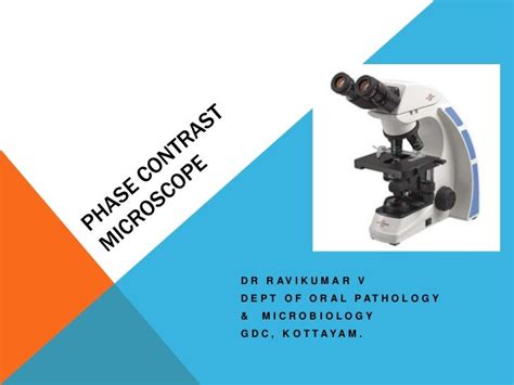 Image result for How to Use a Phase Contrast Microscope