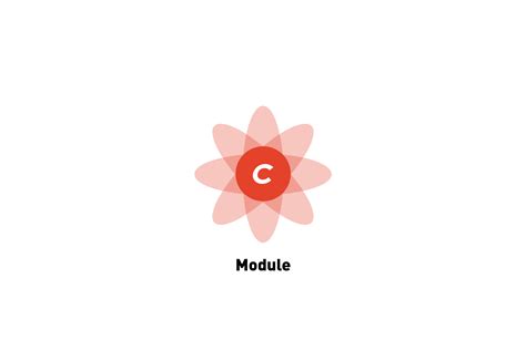 Image result for Craft CMS Tutorial