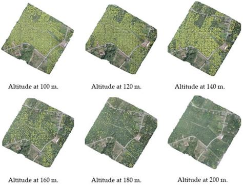 Oil Palm Tree Detection and Health Classification on High-Resolution ...